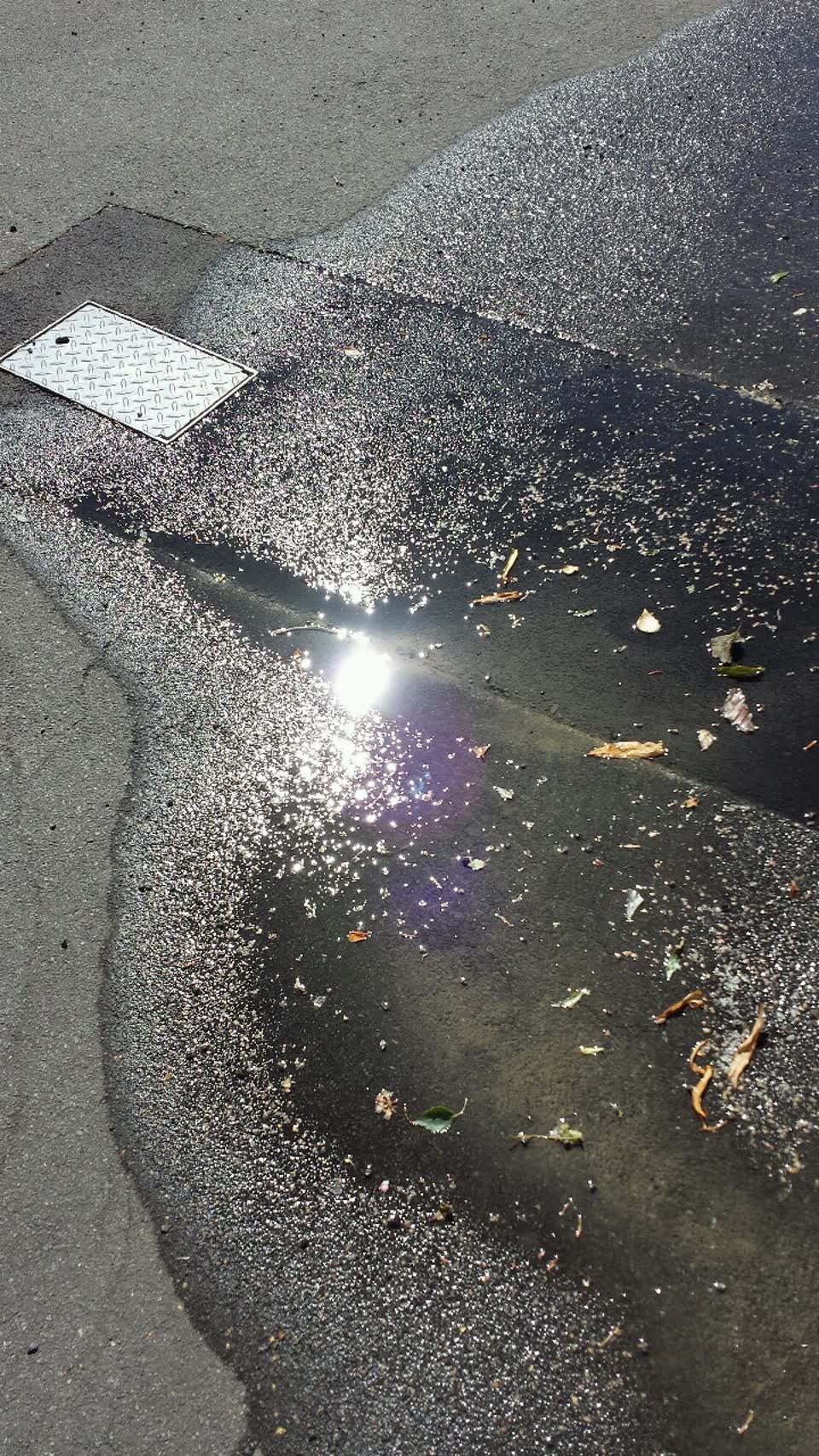 The photograph attached to this water supply report