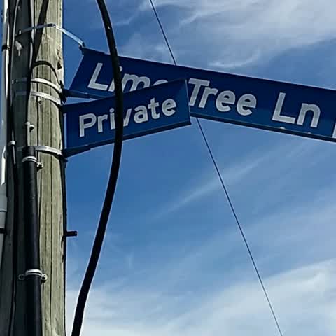 Roading/Streets, a report photo