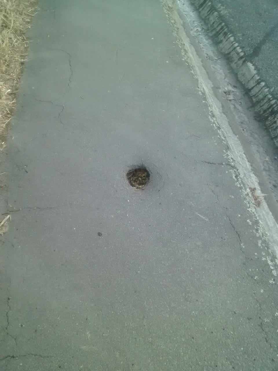 The photograph attached to this roading/streets report