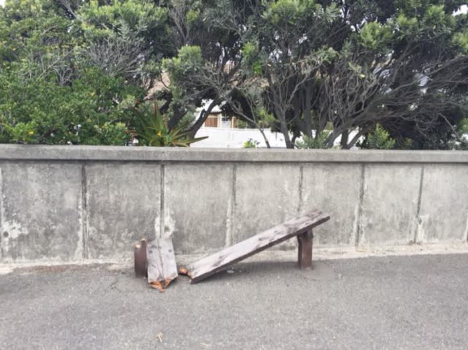 The photograph attached to this parks report