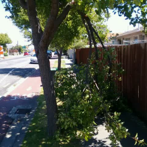 Roading/Streets, a report photo