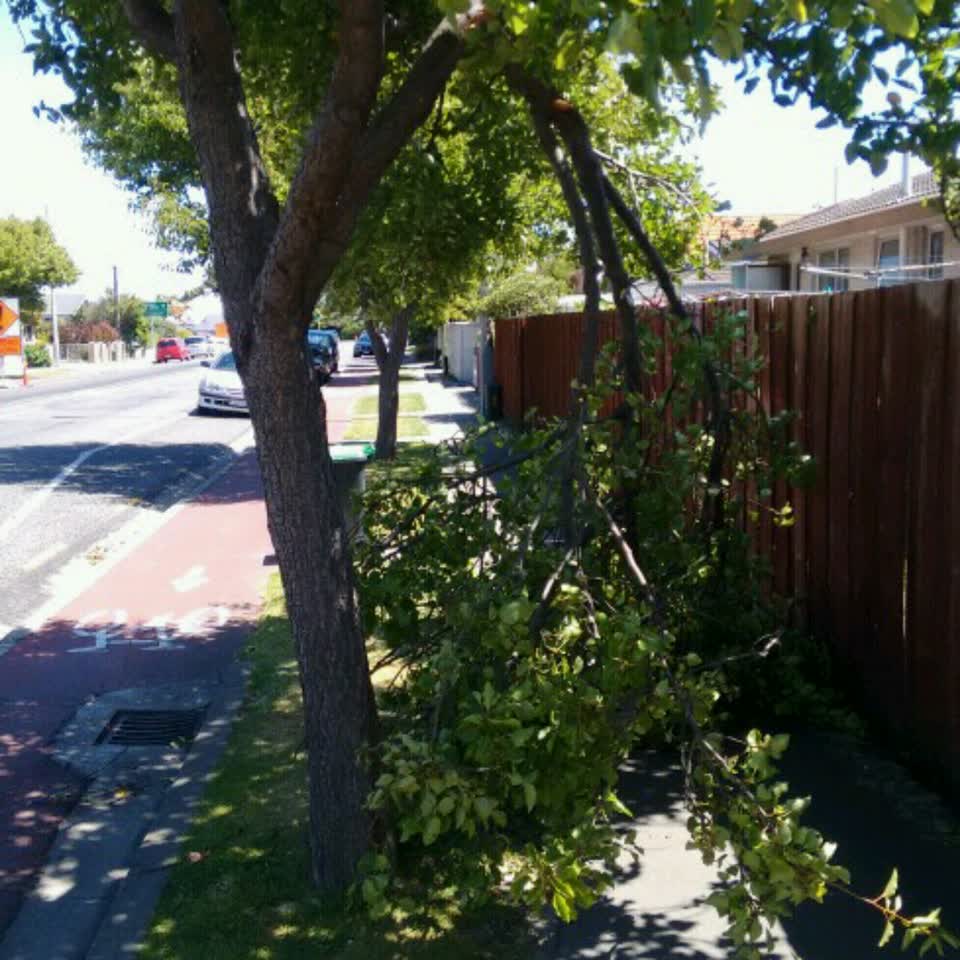 The photograph attached to this roading/streets report