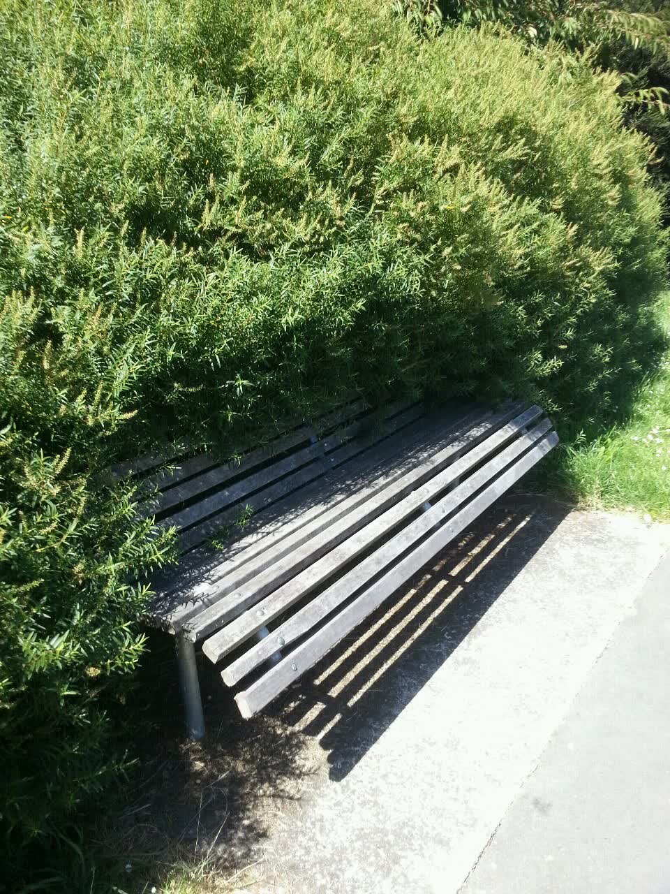 The photograph attached to this parks report