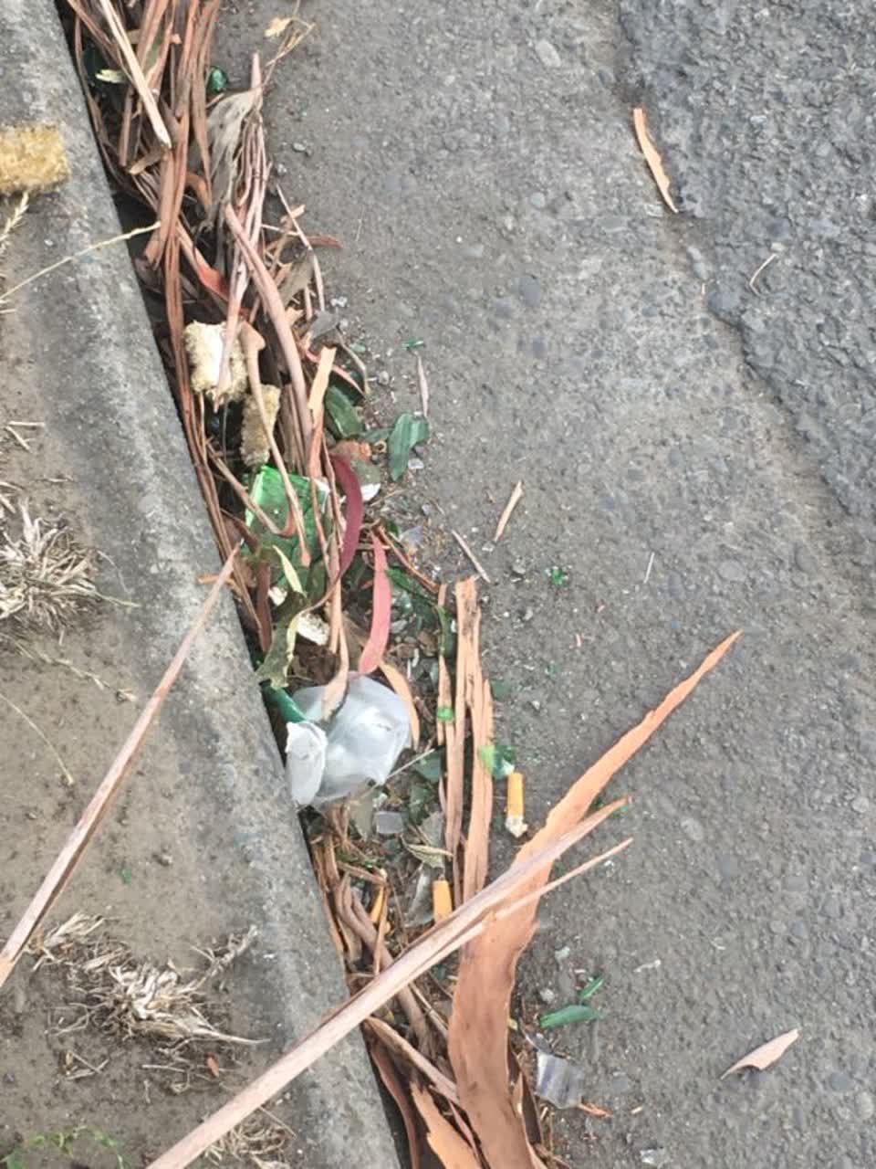 The photograph attached to this rubbish/recycling report