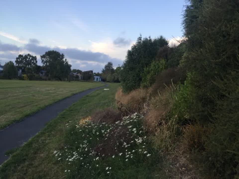 The photograph attached to this parks report