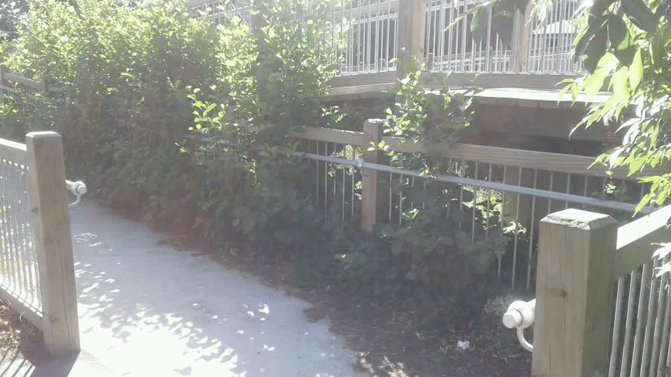 The photograph attached to this parks report