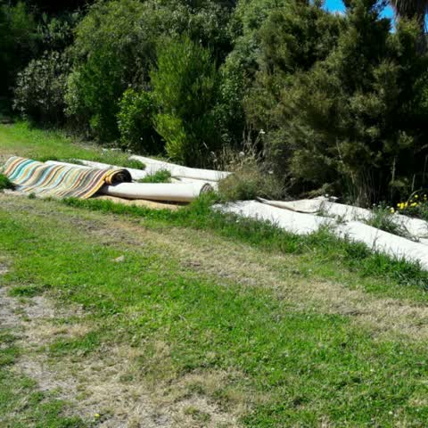 Parks, a report photo