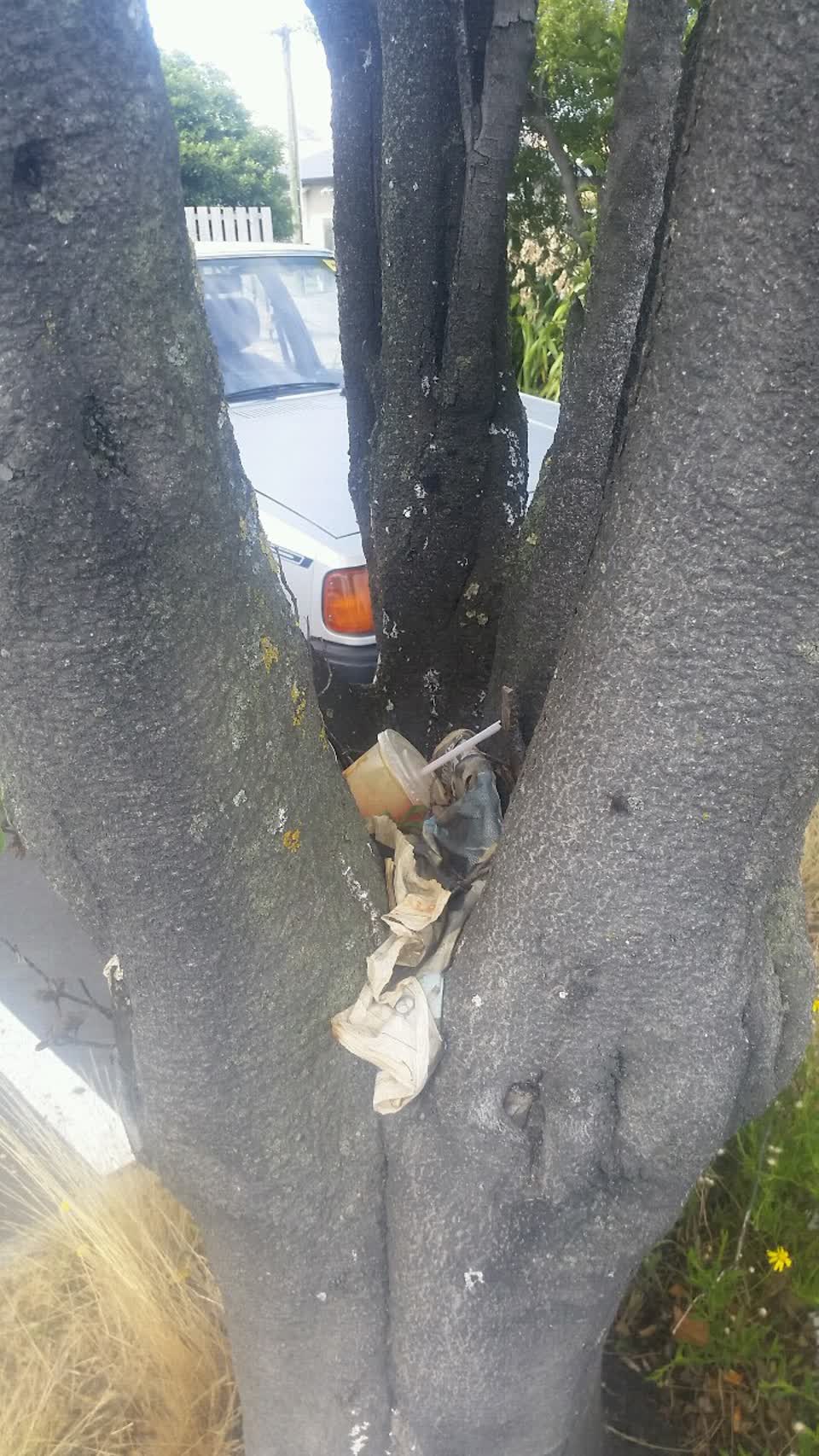 The photograph attached to this rubbish/recycling report