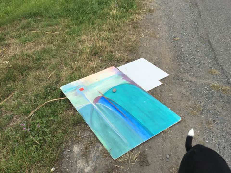 The photograph attached to this rubbish/recycling report