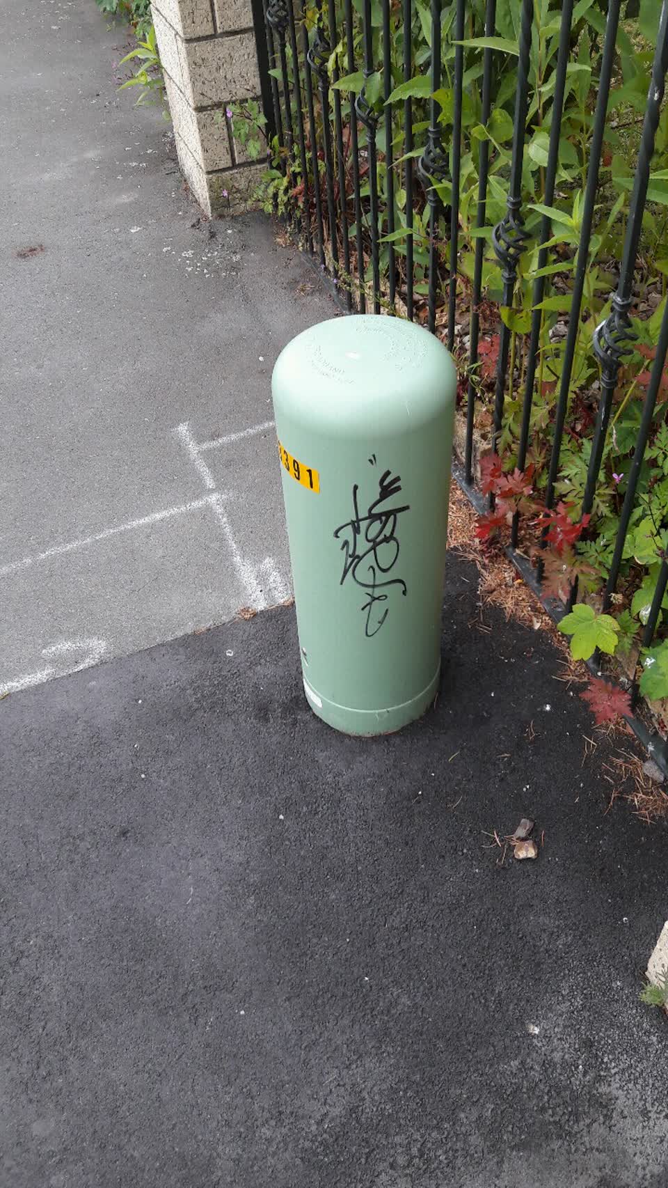 The photograph attached to this graffiti report