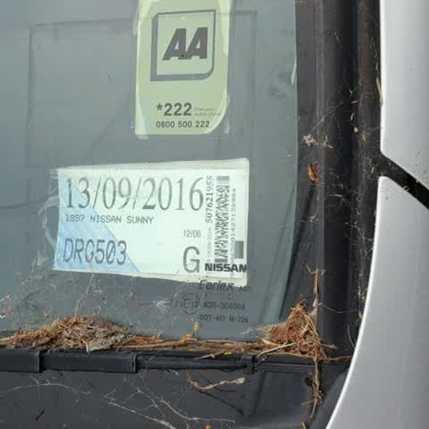 Roading/Streets, a report photo
