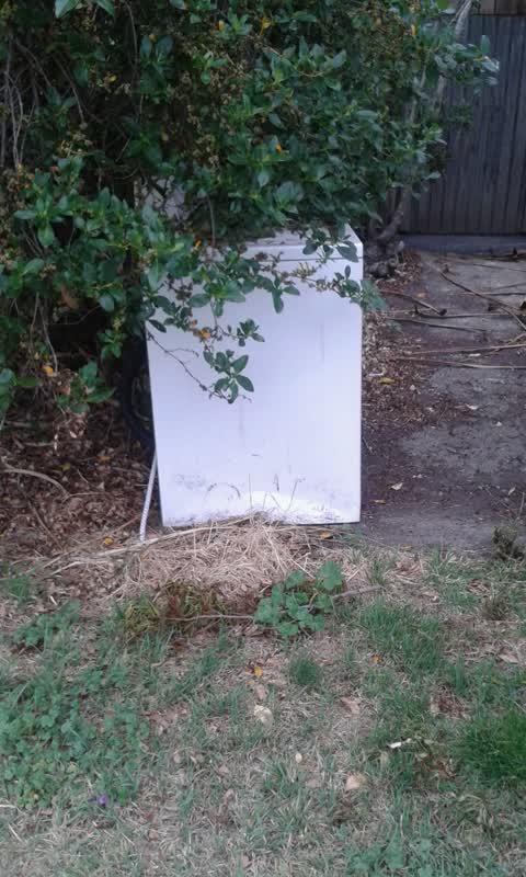 Rubbish/Recycling, a report photo