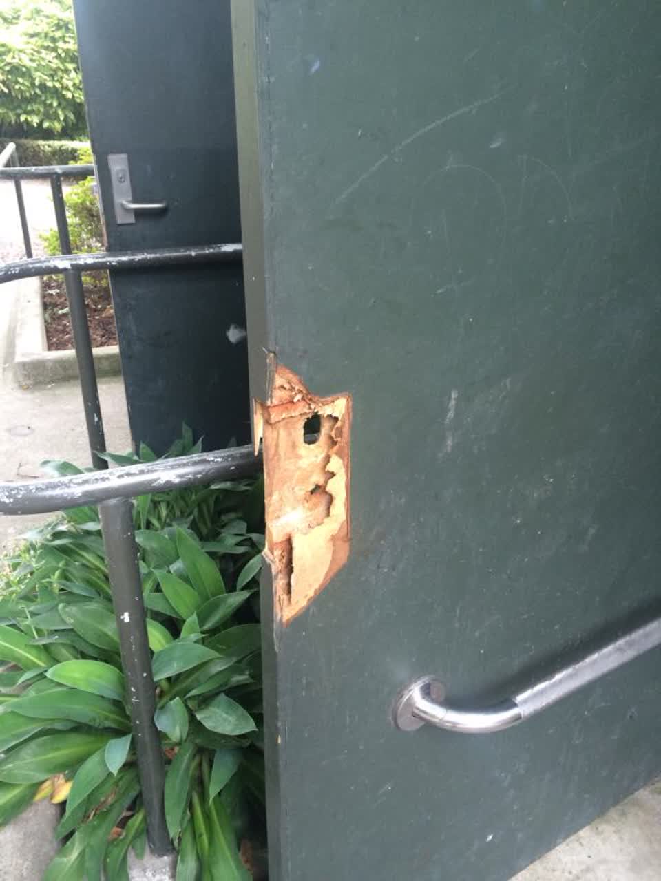 The photograph attached to this parks report
