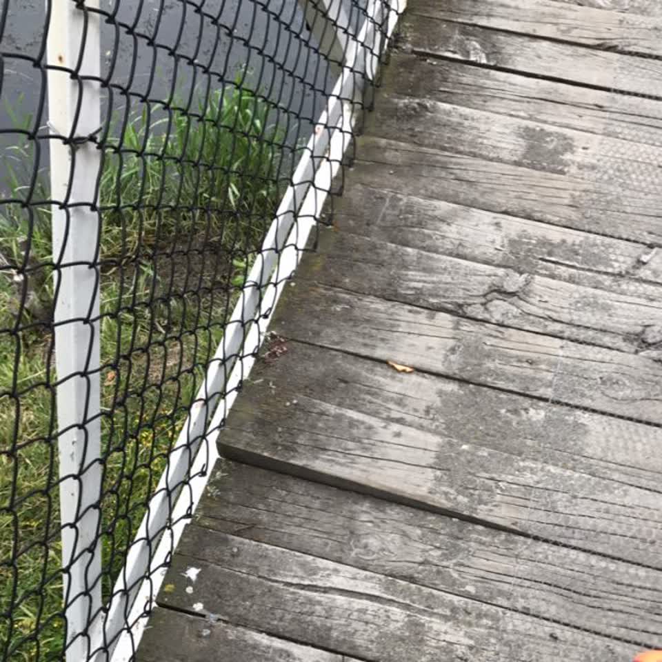 The photograph attached to this parks report