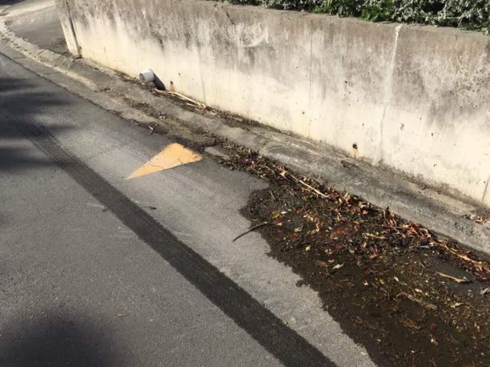 The photograph attached to this water supply report