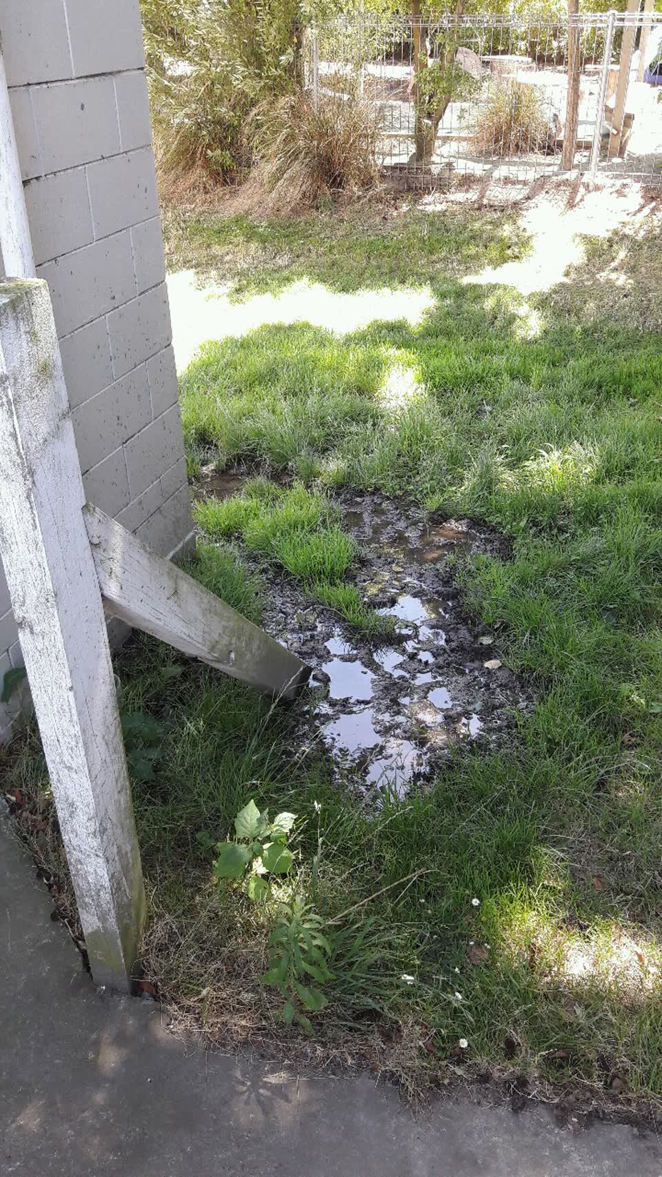 The photograph attached to this water supply report
