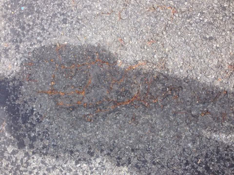 The photograph attached to this roading/streets report