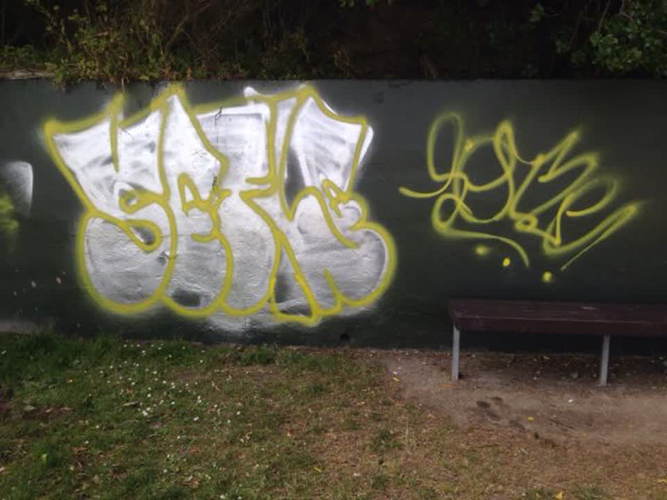 The photograph attached to this graffiti report