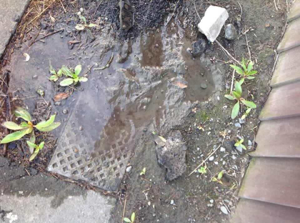 The photograph attached to this water supply report