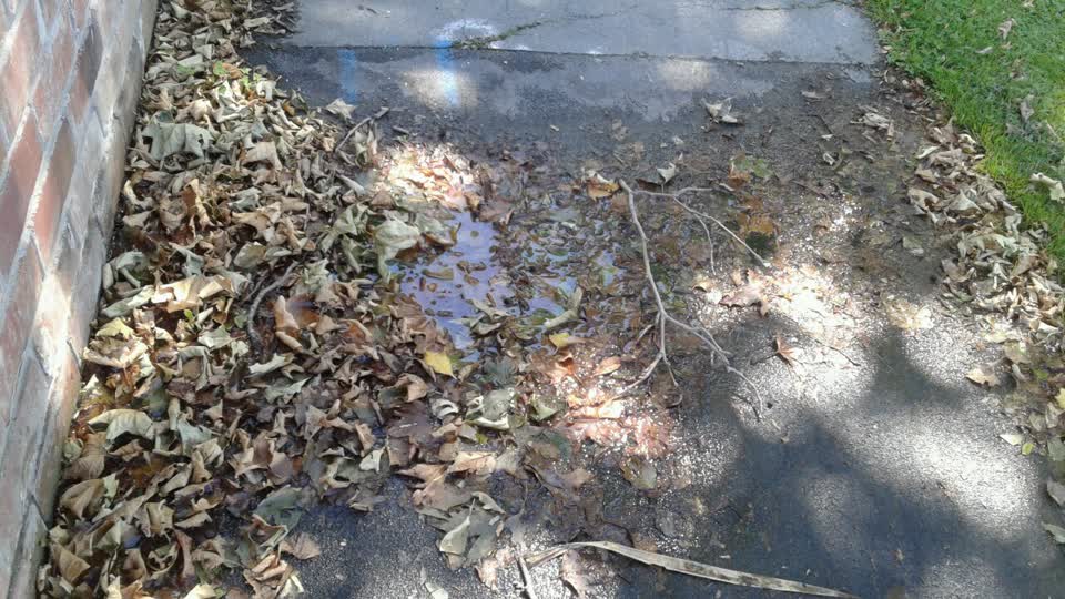 The photograph attached to this water supply report
