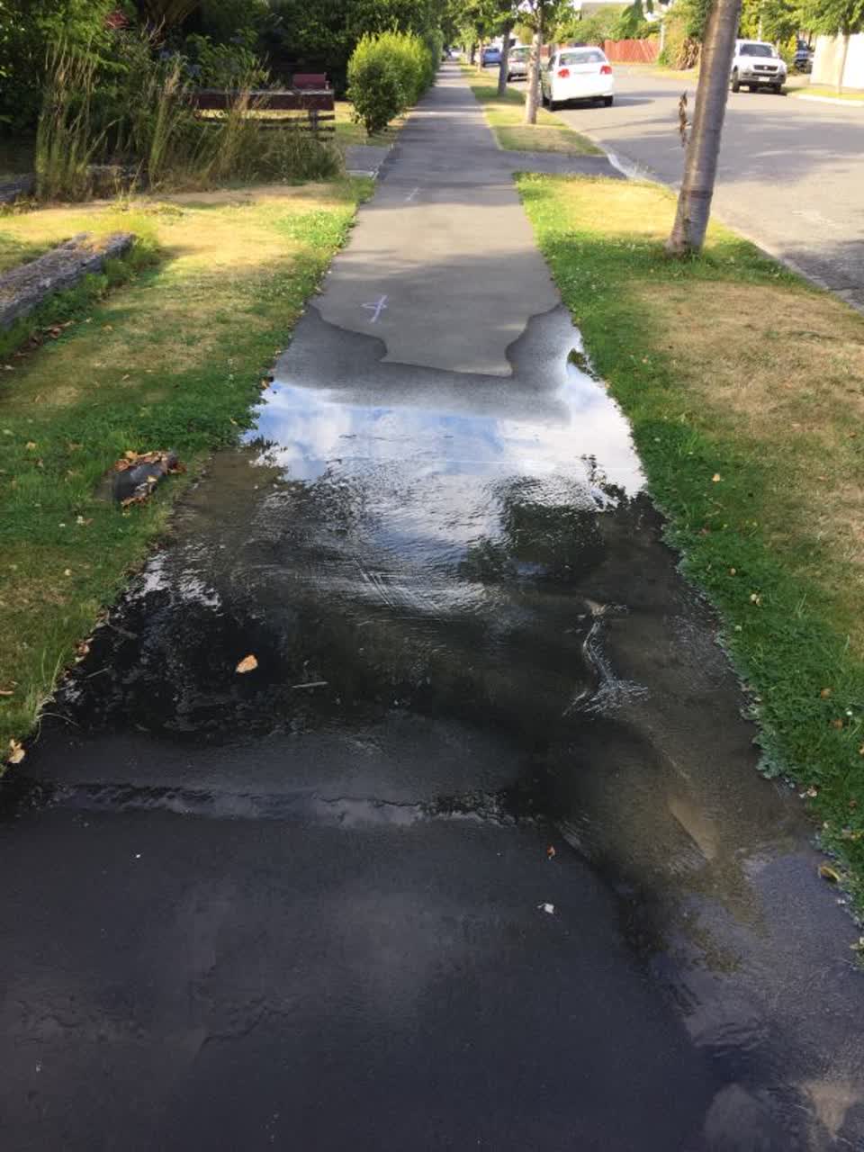 The photograph attached to this water supply report
