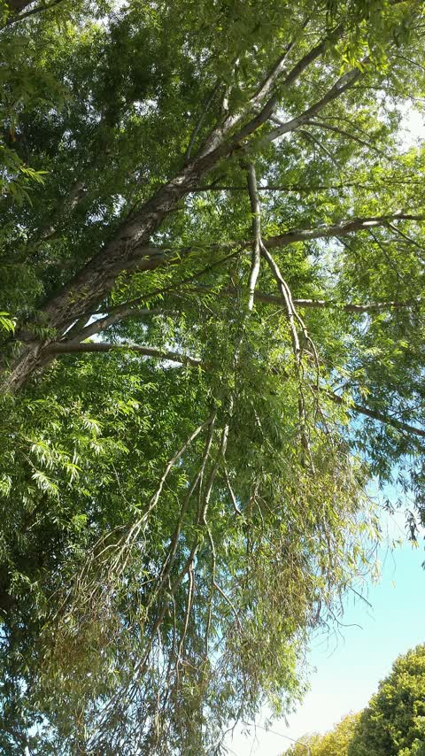 Roading/Streets, a report photo