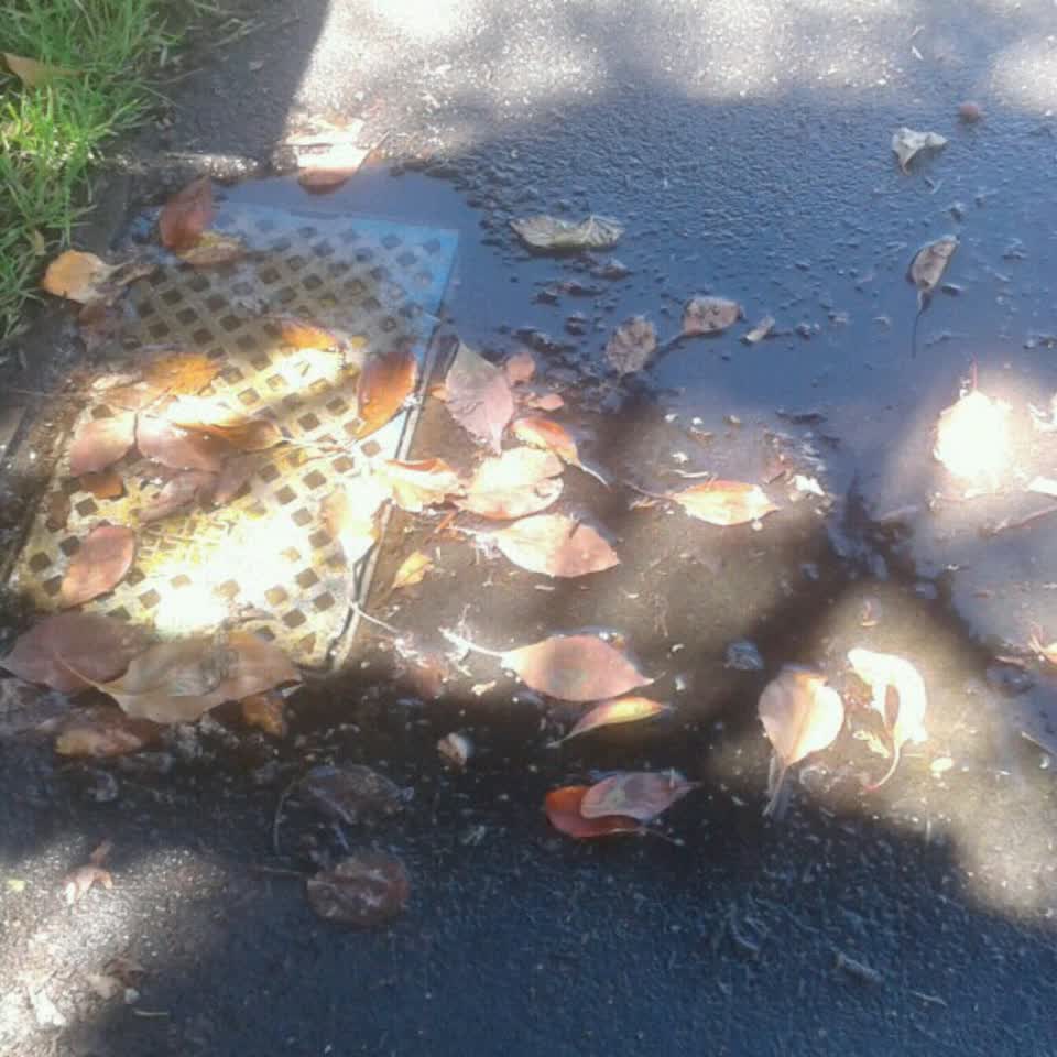 The photograph attached to this water supply report