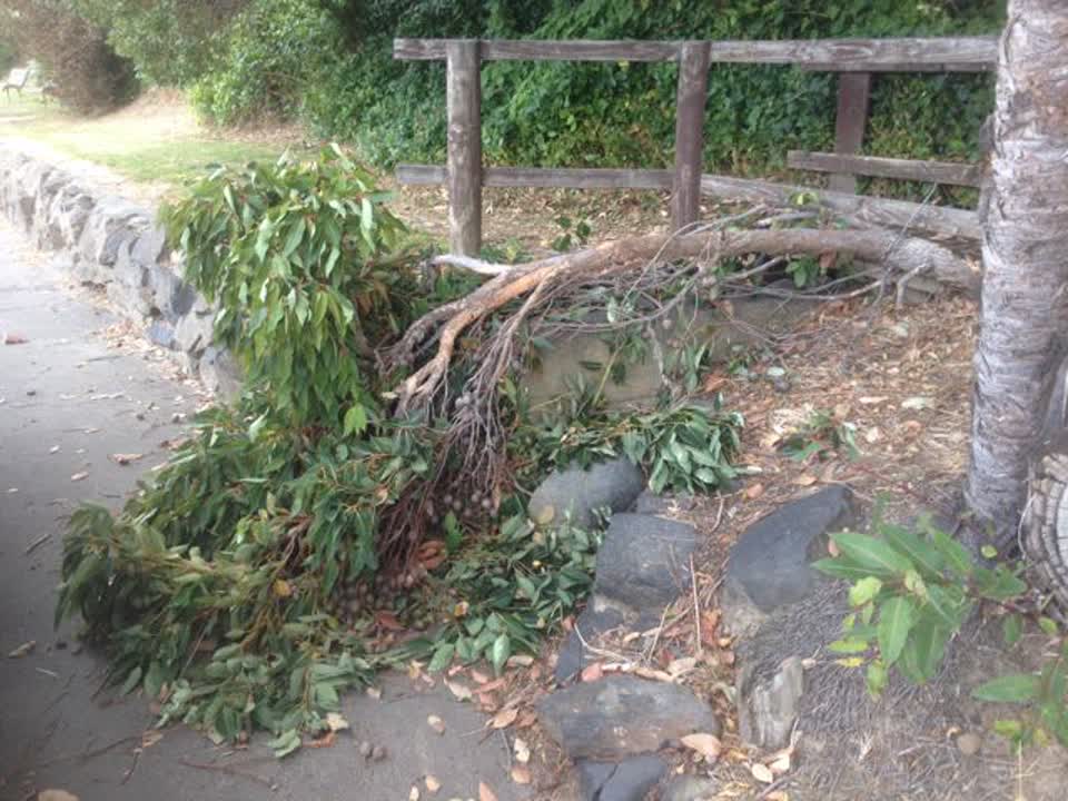 The photograph attached to this parks report