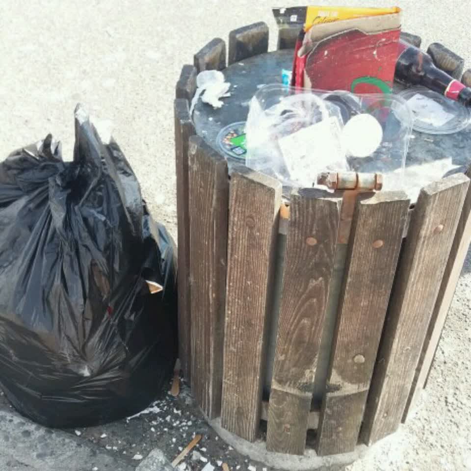 The photograph attached to this rubbish/recycling report