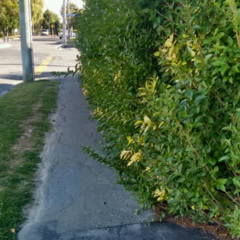 Roading/Streets — a report photo