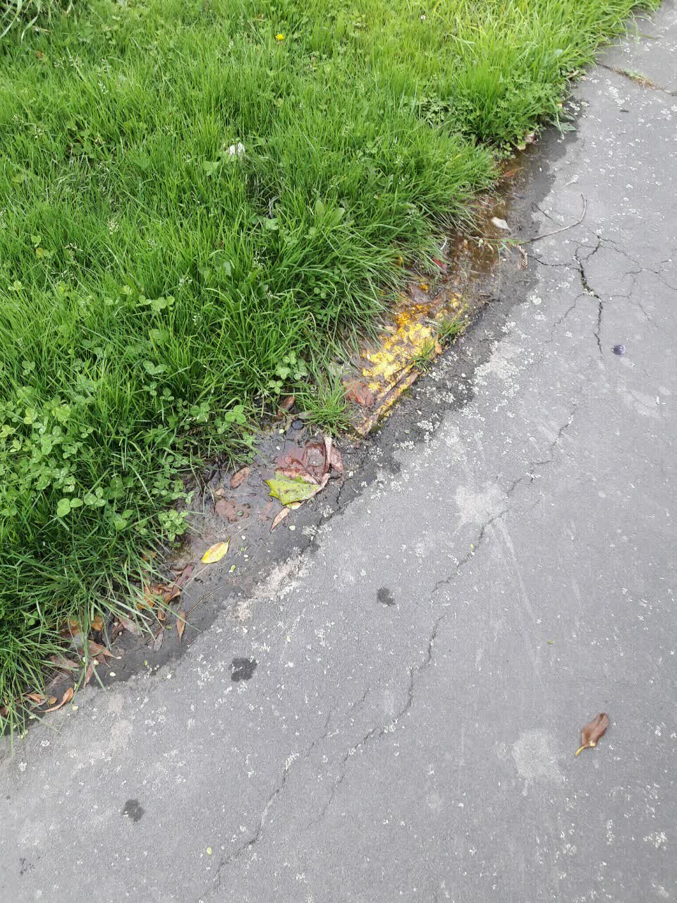 The photograph attached to this water supply report