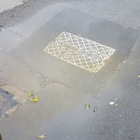 Wastewater/Stormwater, a report photo