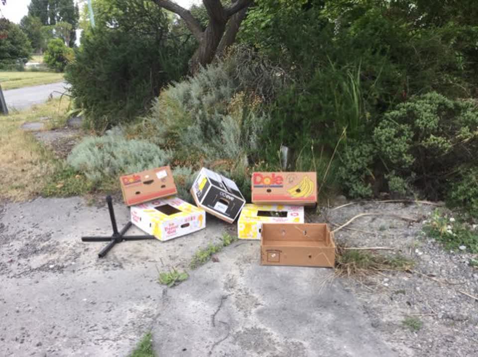The photograph attached to this rubbish/recycling report