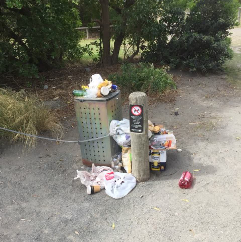 The photograph attached to this rubbish/recycling report