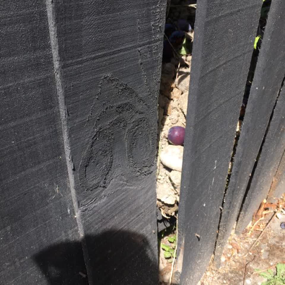 The photograph attached to this parks report