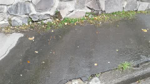 Water Supply, a report photo