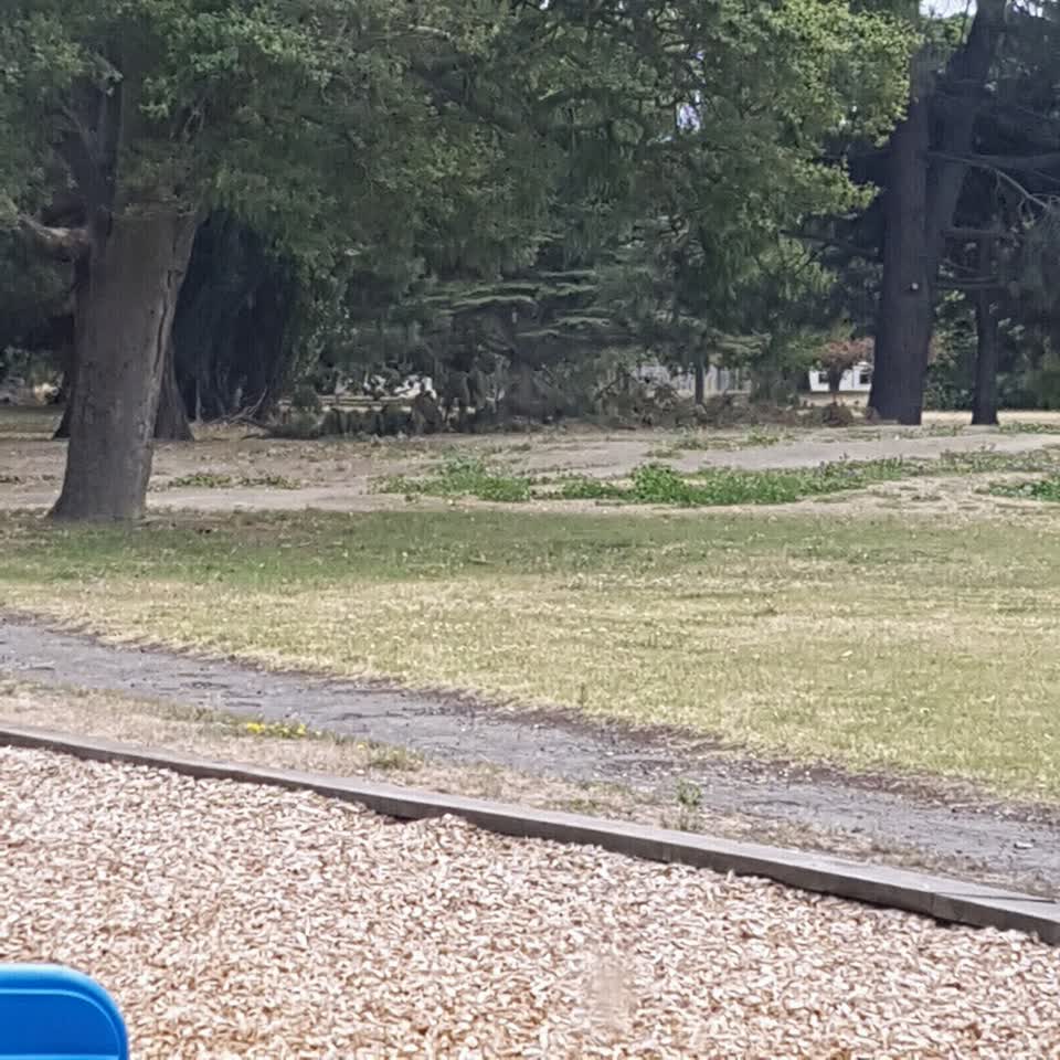 The photograph attached to this parks report