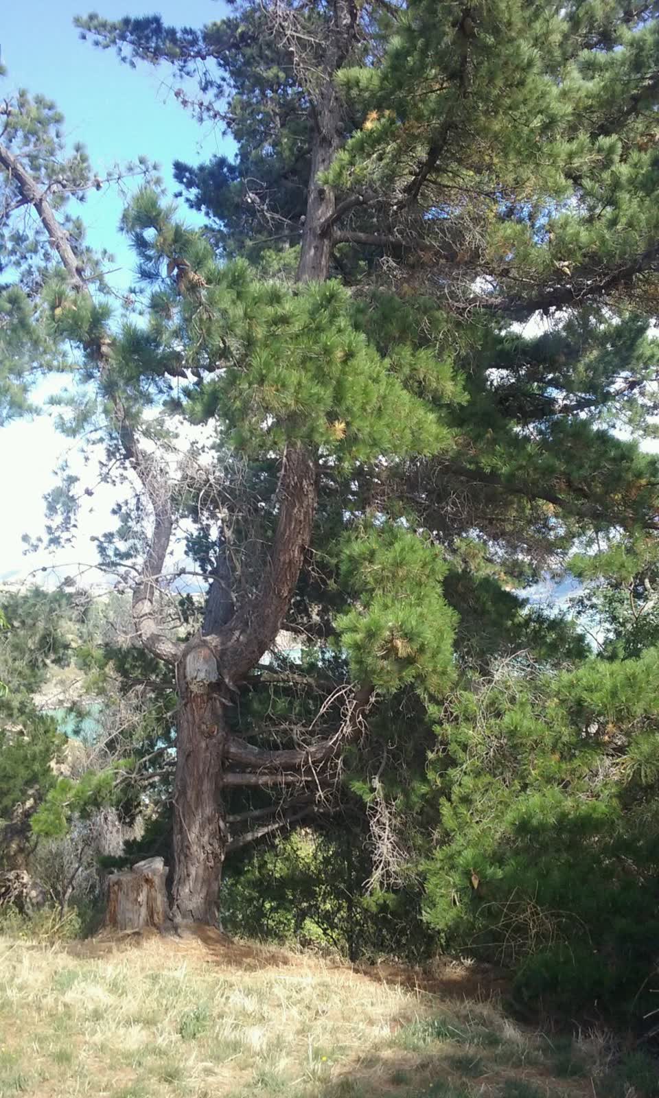 The photograph attached to this parks report