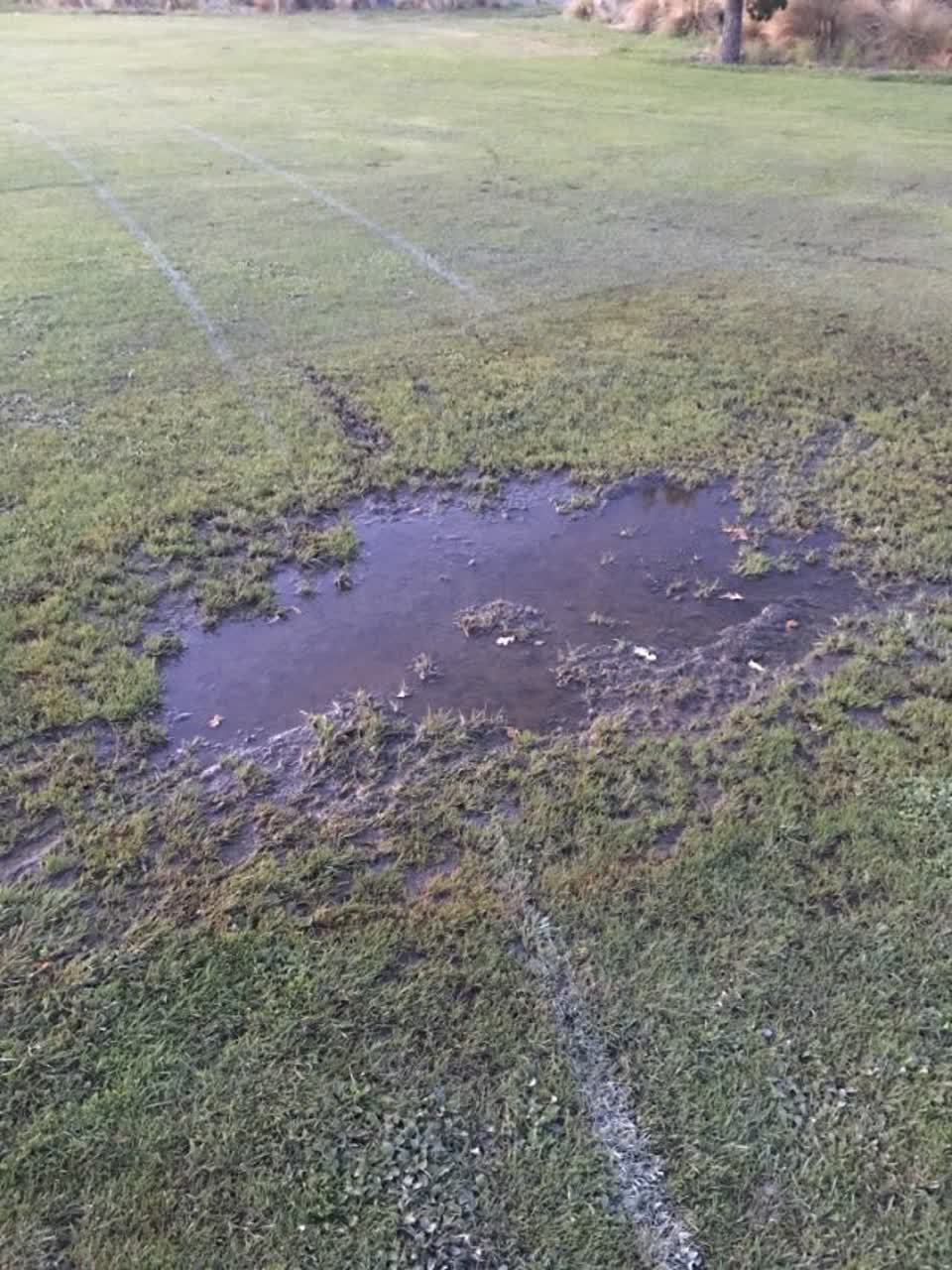 The photograph attached to this parks report
