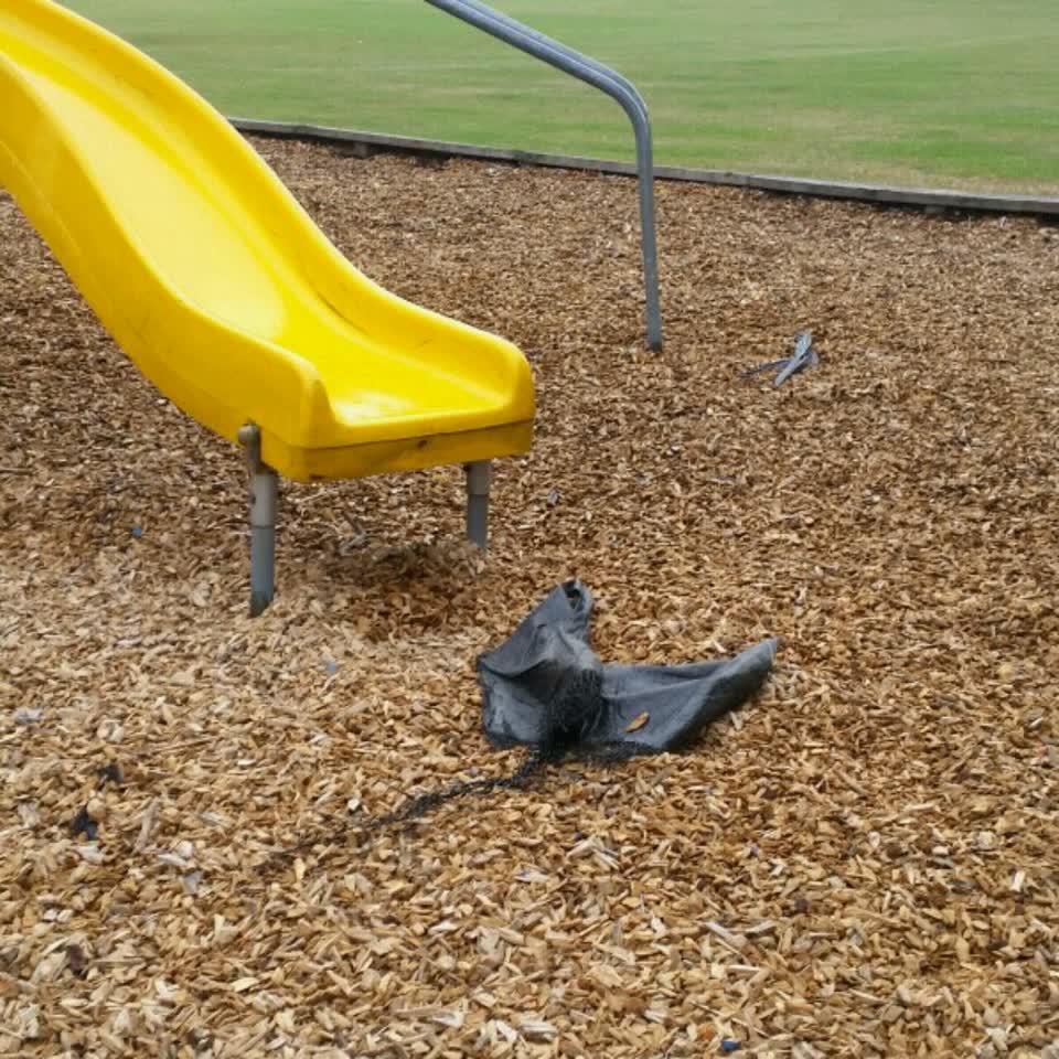The photograph attached to this parks report