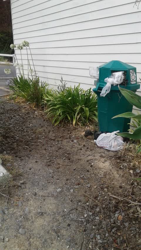 Rubbish/Recycling, a report photo