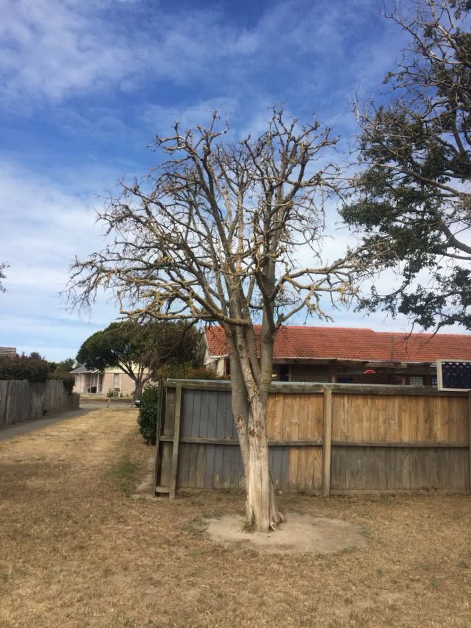 The photograph attached to this parks report