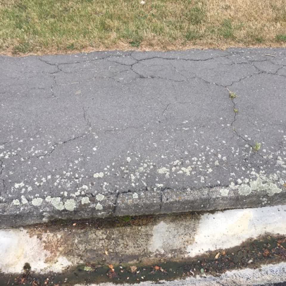 The photograph attached to this water supply report