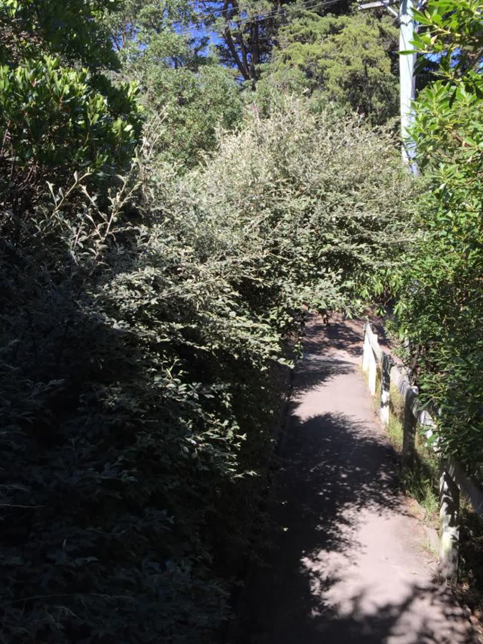 The photograph attached to this parks report