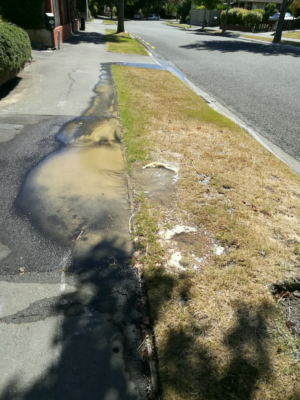 The photograph attached to this water supply report