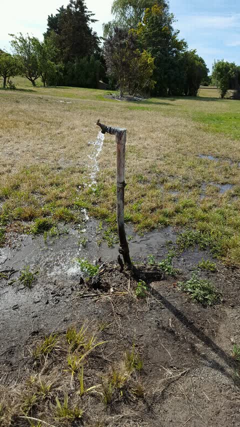 Water Supply, a report photo