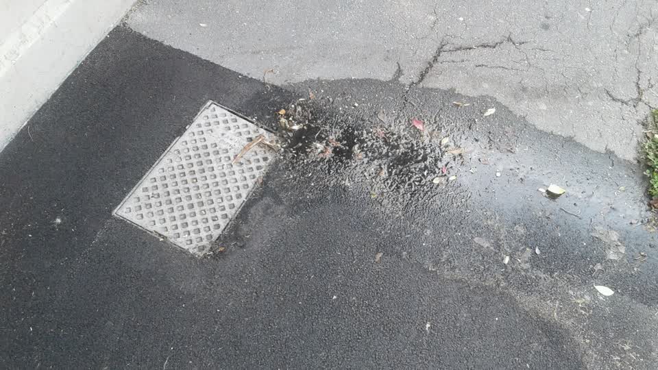 The photograph attached to this water supply report