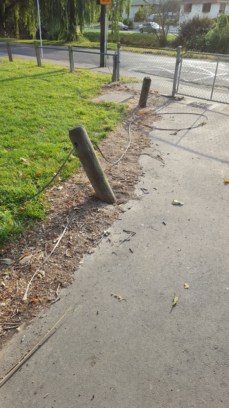 The photograph attached to this parks report