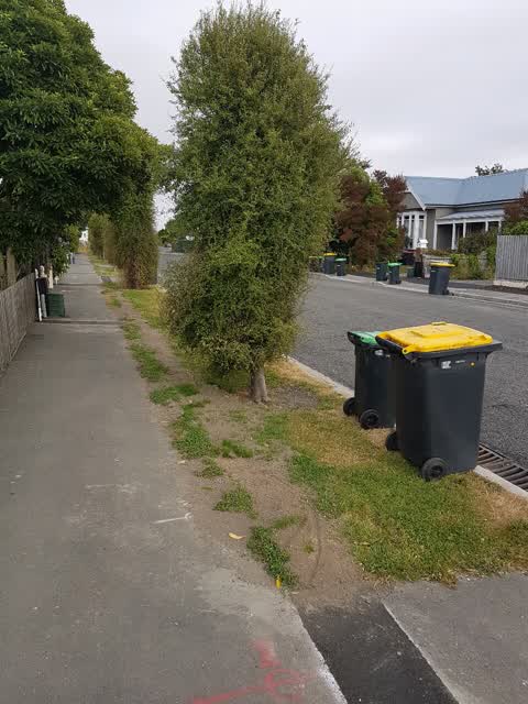 Roading/Streets, a report photo