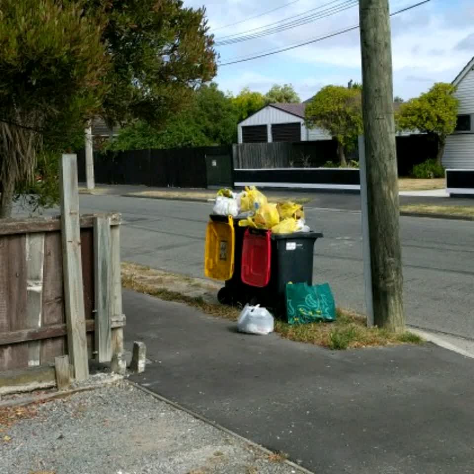 The photograph attached to this rubbish/recycling report